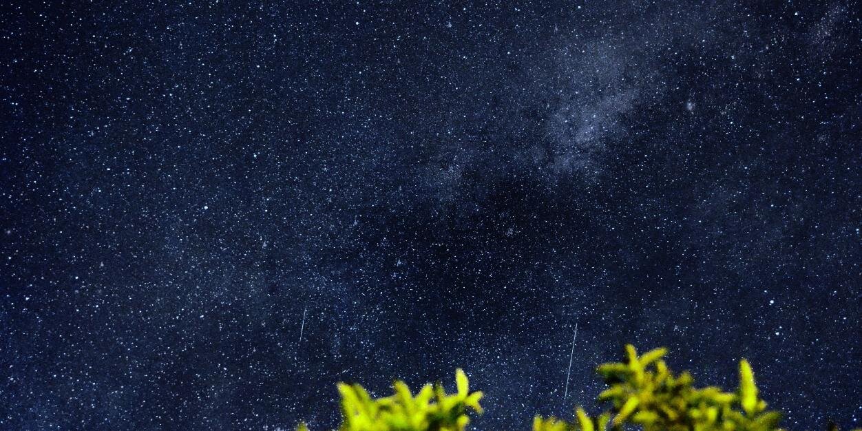 trisquelgnu's profile banner image