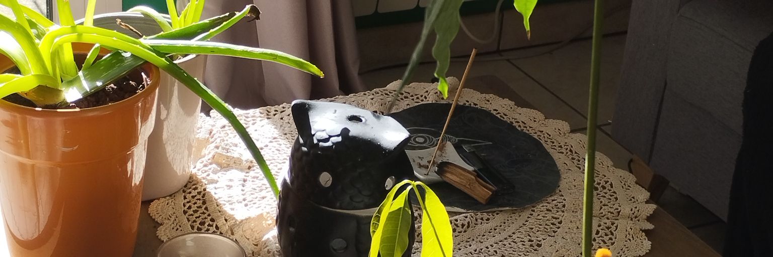 TwitKanel's profile banner image