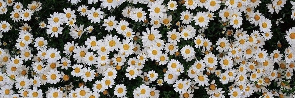 Nabeela_L's profile banner image