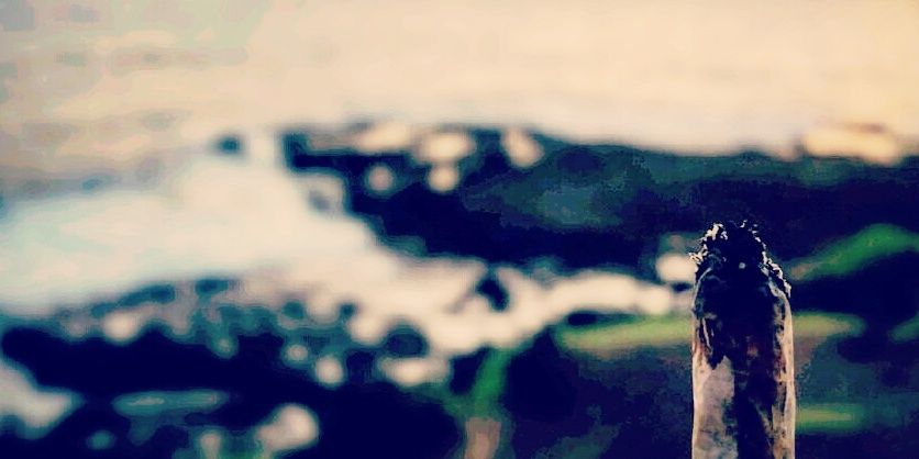 John Harness banner