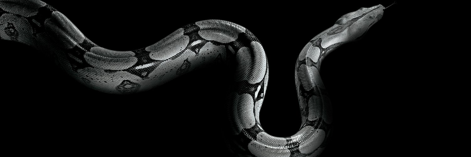 agustinapmf's profile banner image
