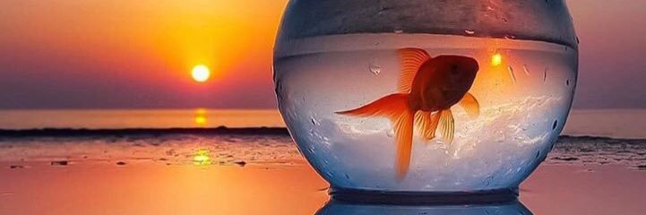memaa_1111's profile banner image