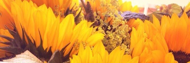 lorij_lori's profile banner image