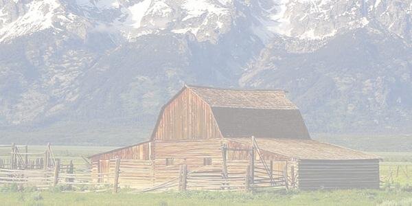 ArchibaldIns's profile banner image