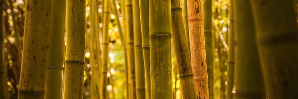 MaximeTouroute Profile Banner