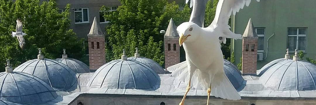 hakancavus_'s profile banner image