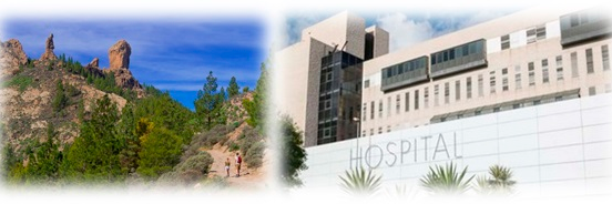 Daniel Ceballos banner