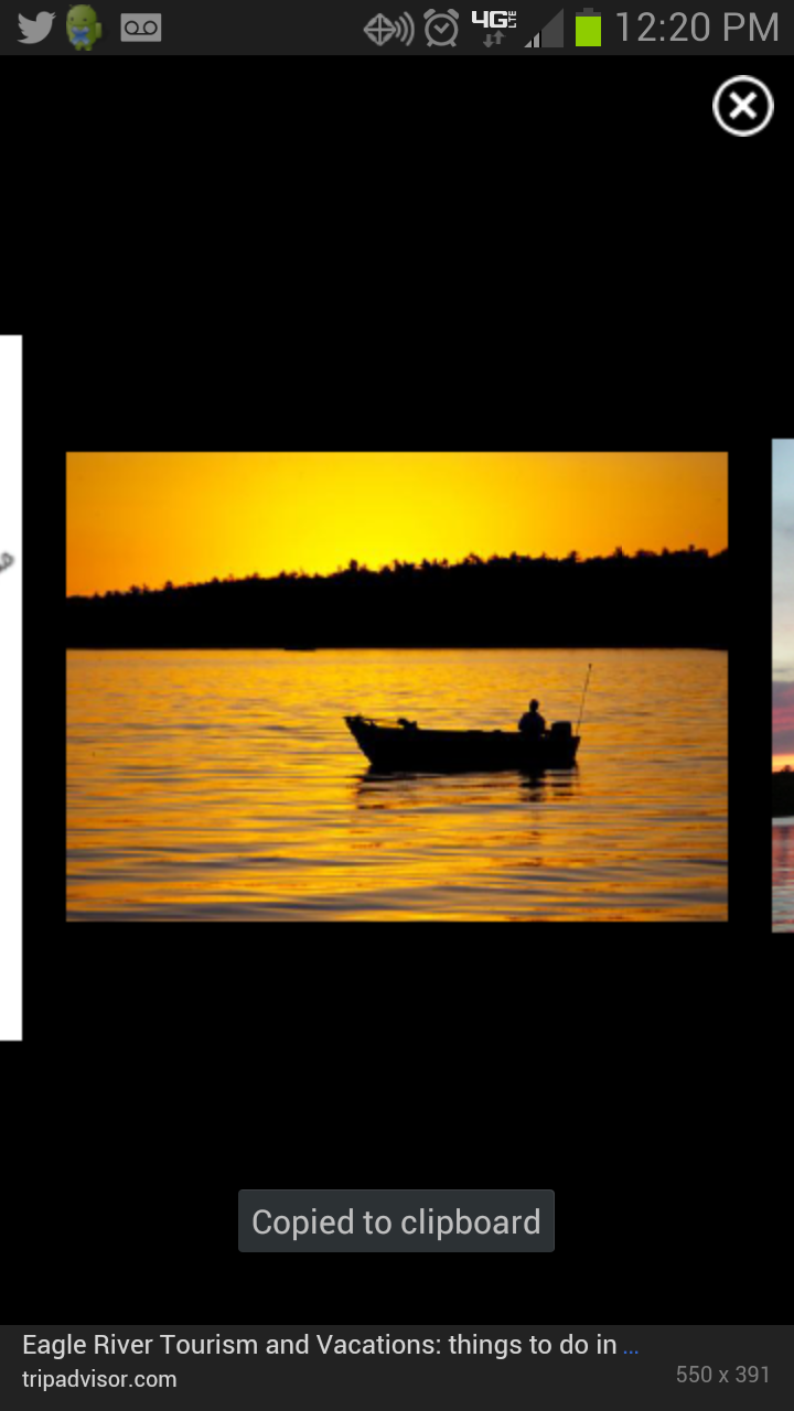 B_radCampolo's profile banner image