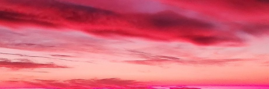 ephoxica's profile banner image