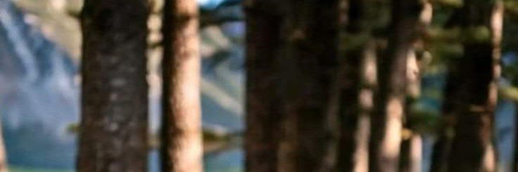 HAZEL_565's profile banner image