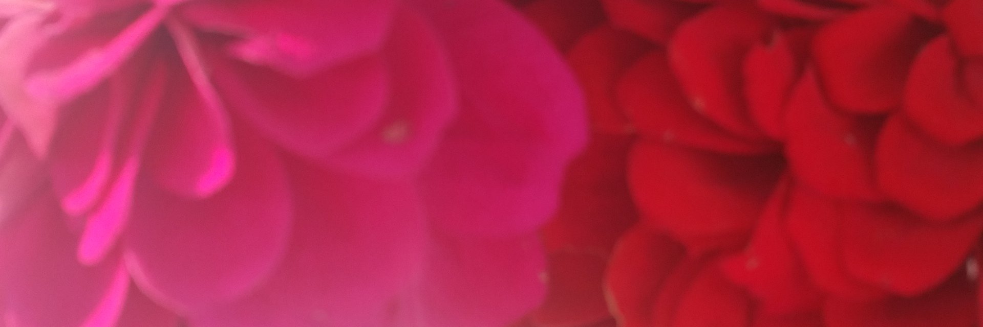 drilorraine1's profile banner image