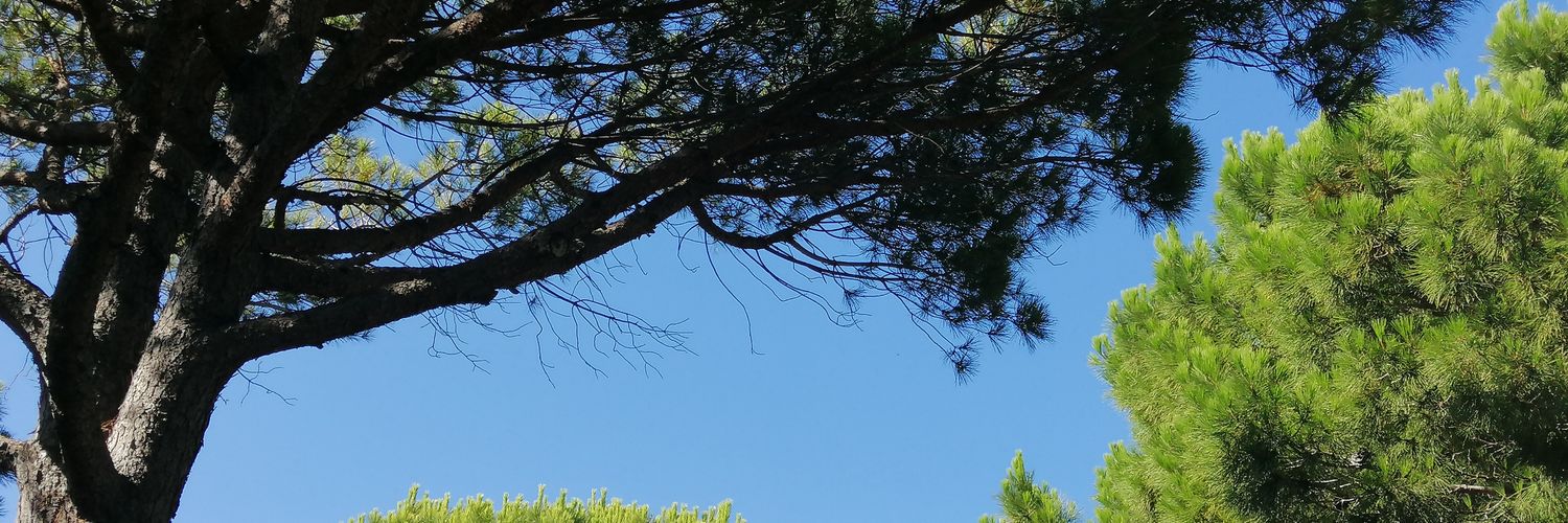Stanmine's profile banner image