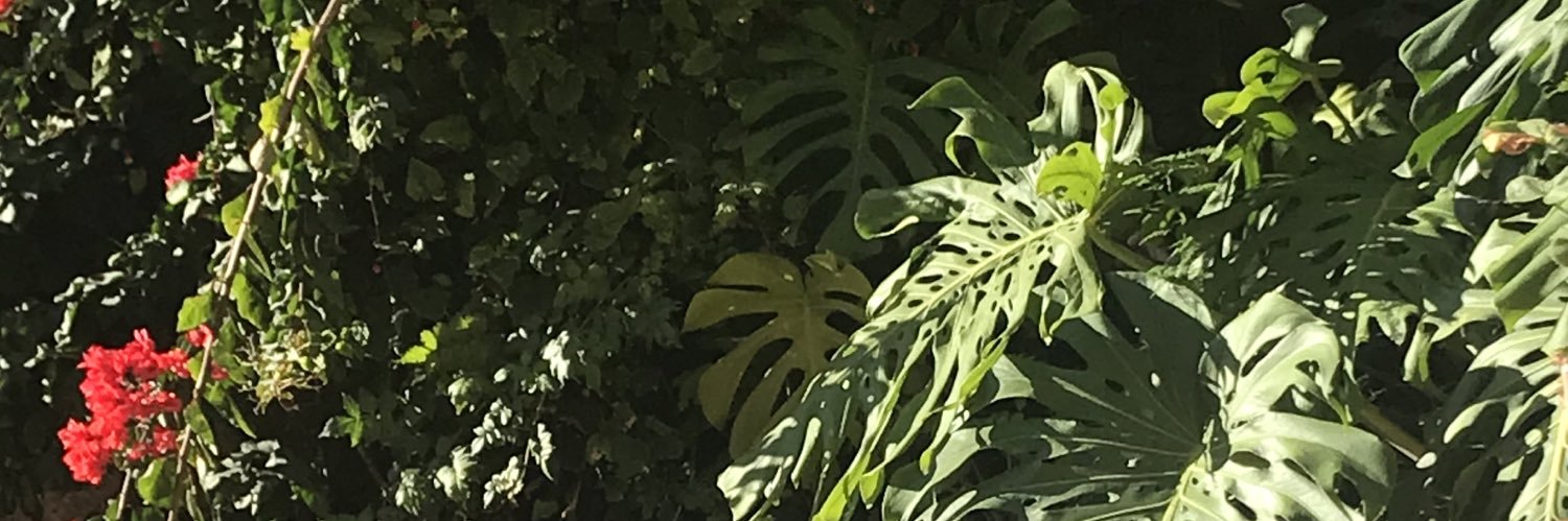 zzooooooooooee's profile banner image