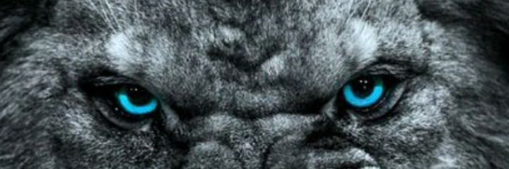 Kevvlegit's profile banner image