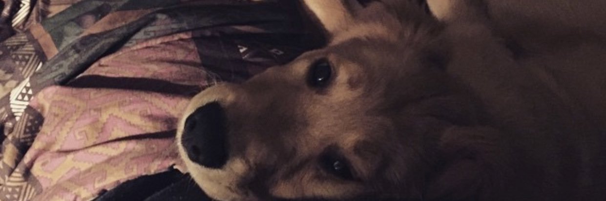 ShelbyyKayee's profile banner image