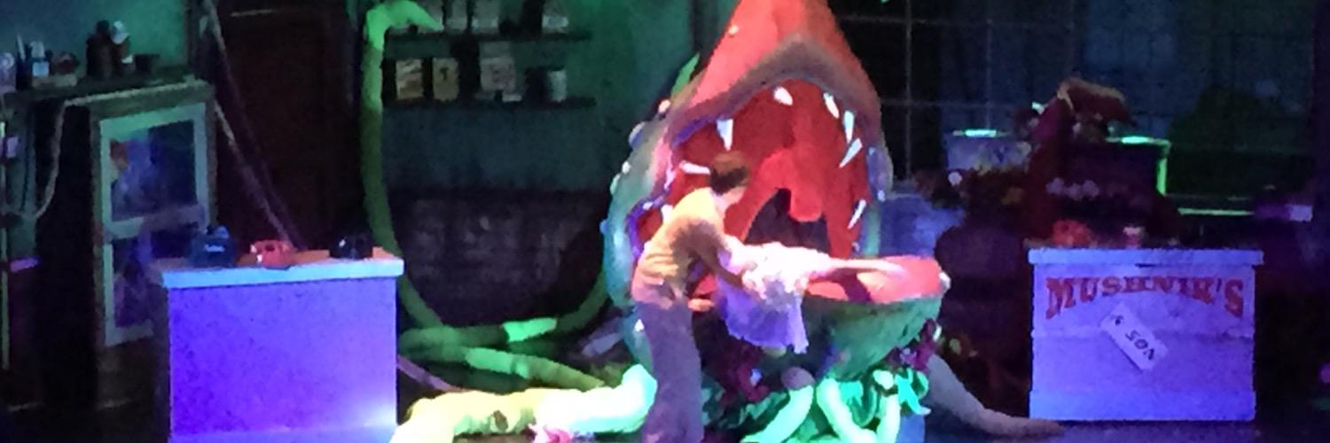 laceynshaw's profile banner image