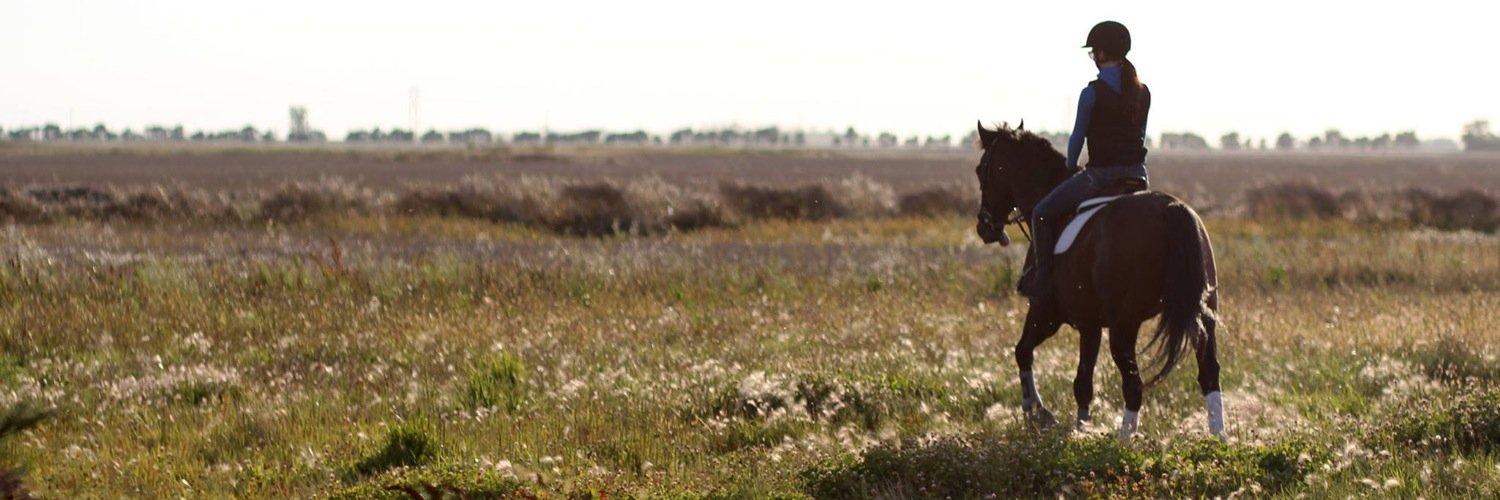 C_equestrian's profile banner image