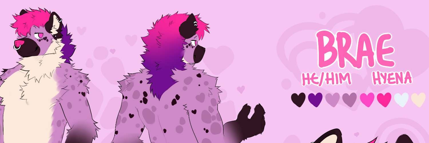 BraeBrae💜🔜 LVFC banner