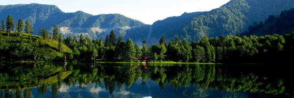 ibalci55 Profile Banner