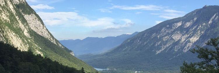 Lars O’Shea banner