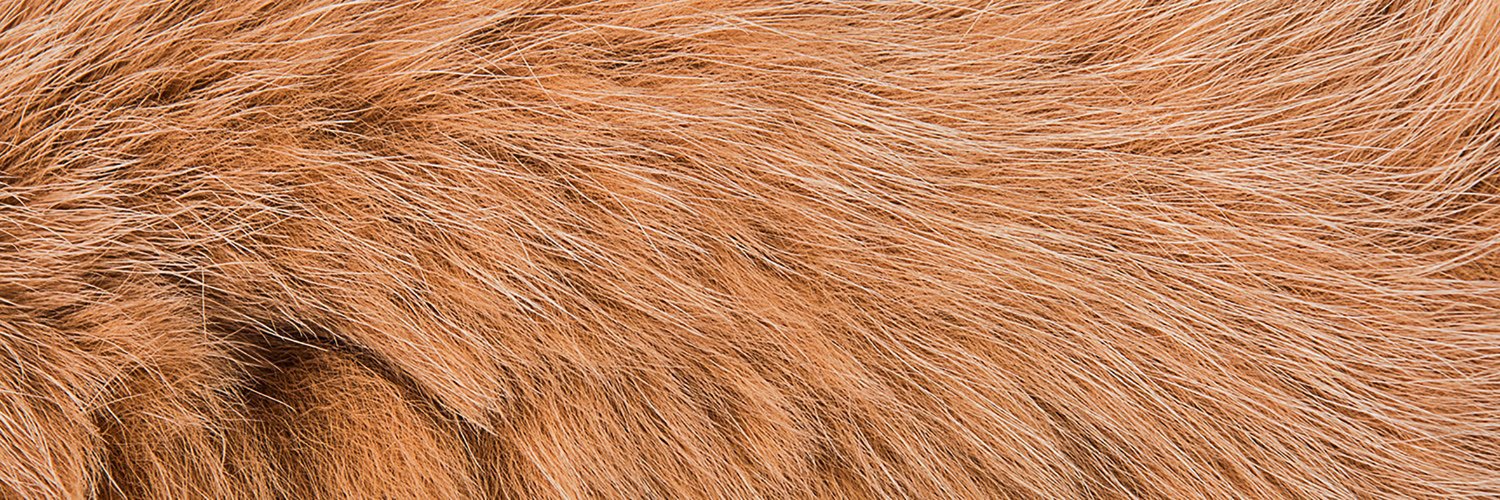 AFR financement banner