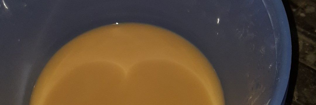 Duckrockahz's profile banner image