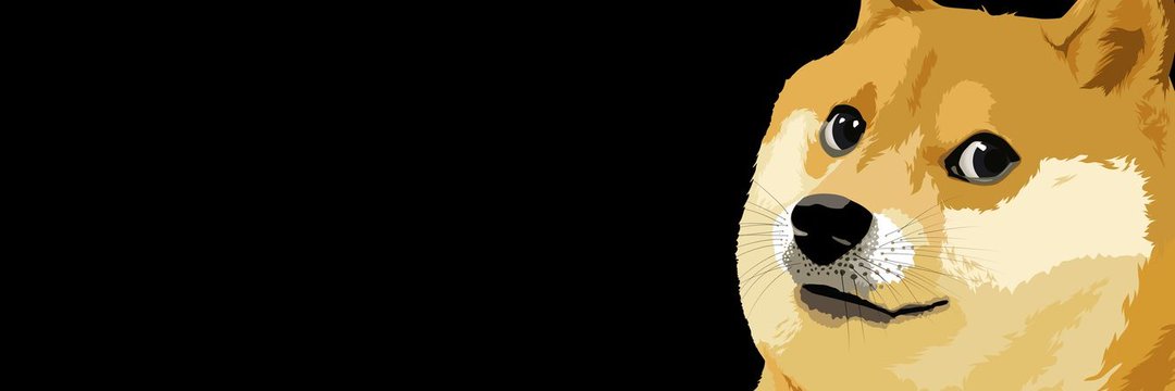 l_e_pm's profile banner image