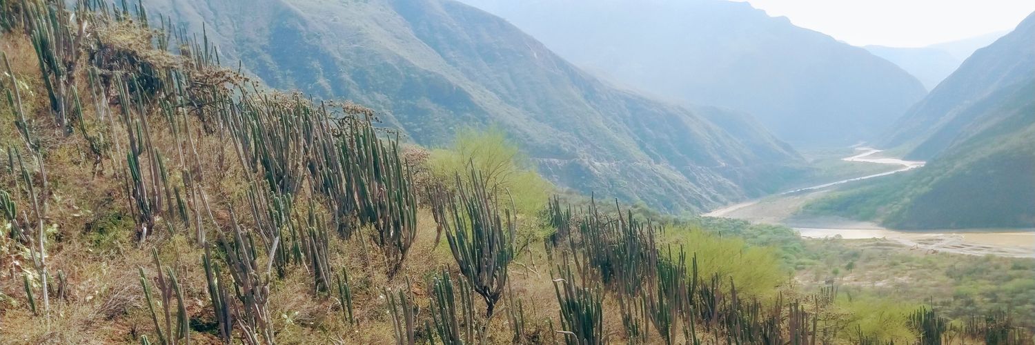 johnfryago's profile banner image