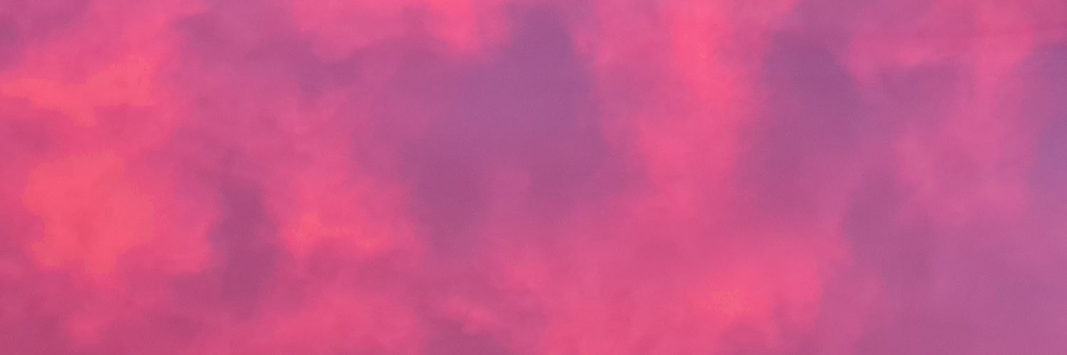 polin1380's profile banner image