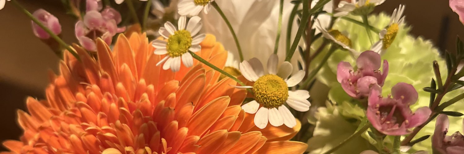 MollyAaron's profile banner image