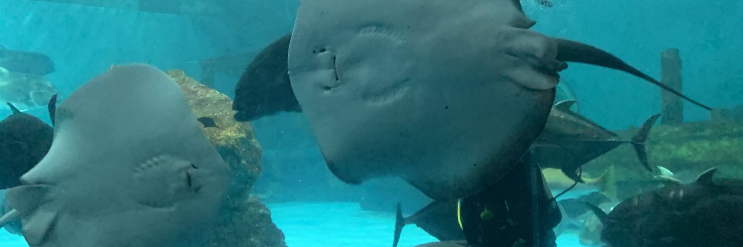 =(ᓀ‸ᓂ) =🩵 banner