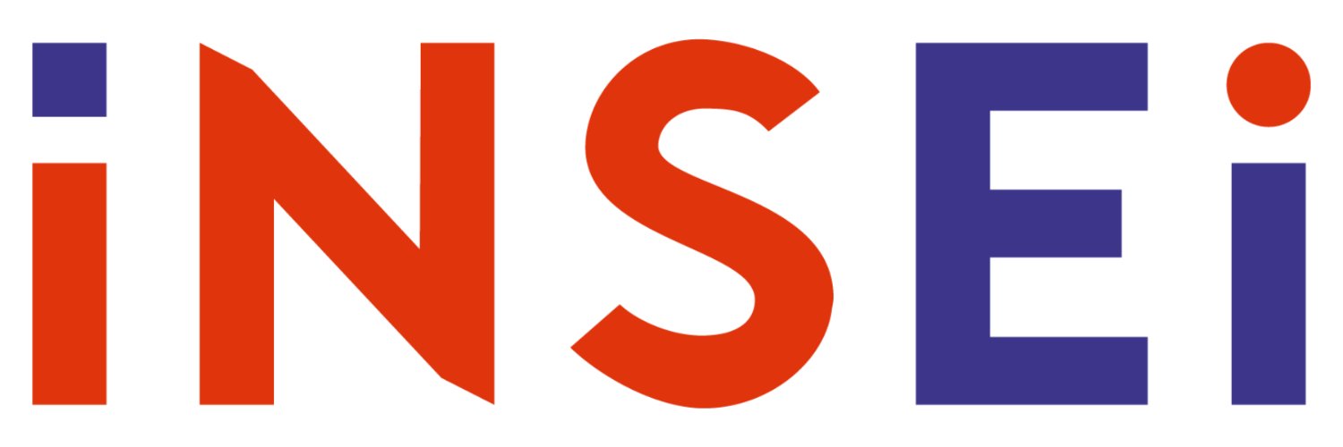 INSEI banner