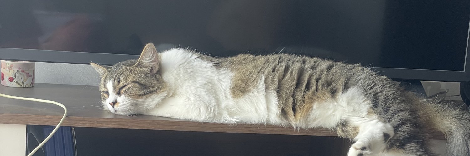 monomorglux's profile banner image