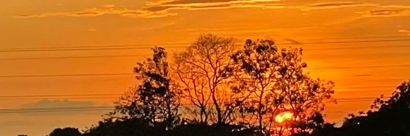 MalejaPadilla1's profile banner image