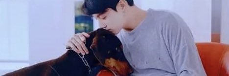 koo banner