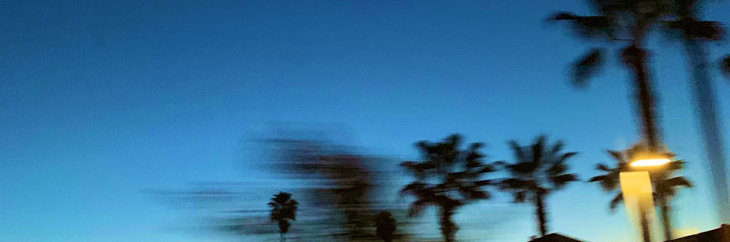 lulallie_'s profile banner image