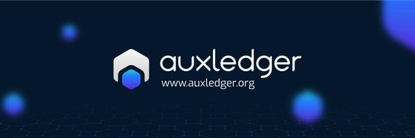 Auxledger Profile Banner
