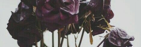 MardyBum19_'s profile banner image