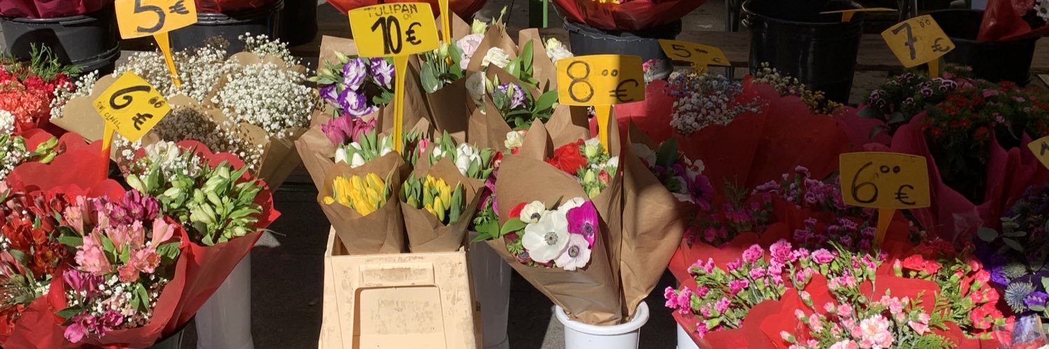 Yoli 💌🌷 banner