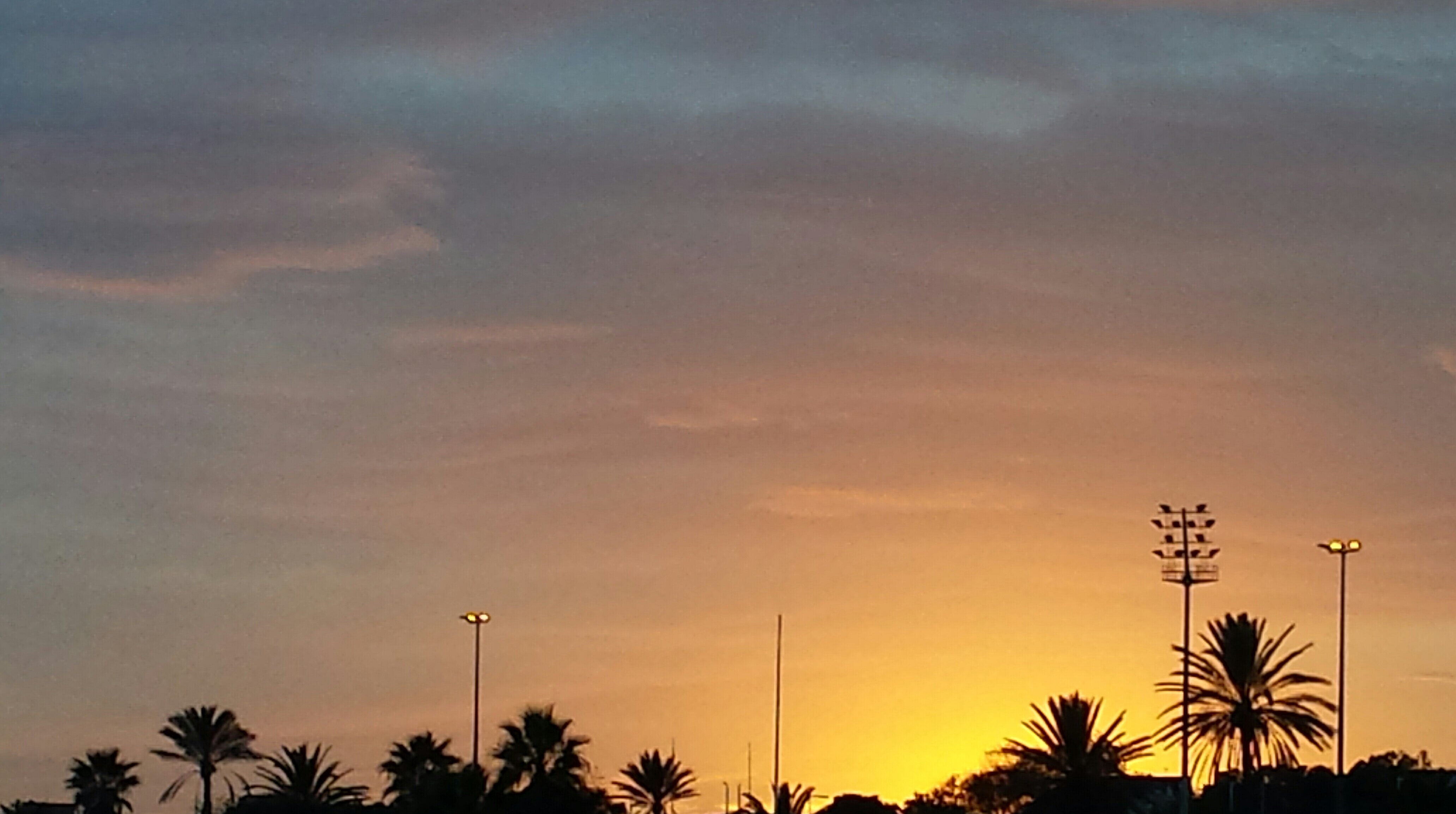 anna_mdv's profile banner image