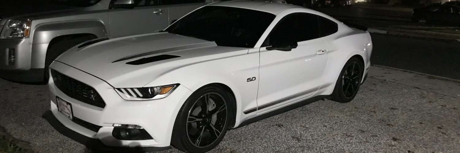 STeRoidzzZ's profile banner image