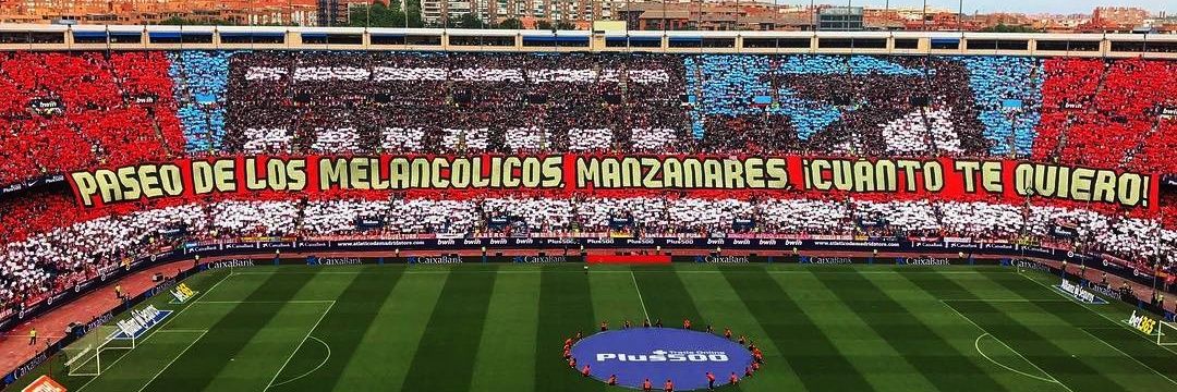 MirandoHaciaDelante banner