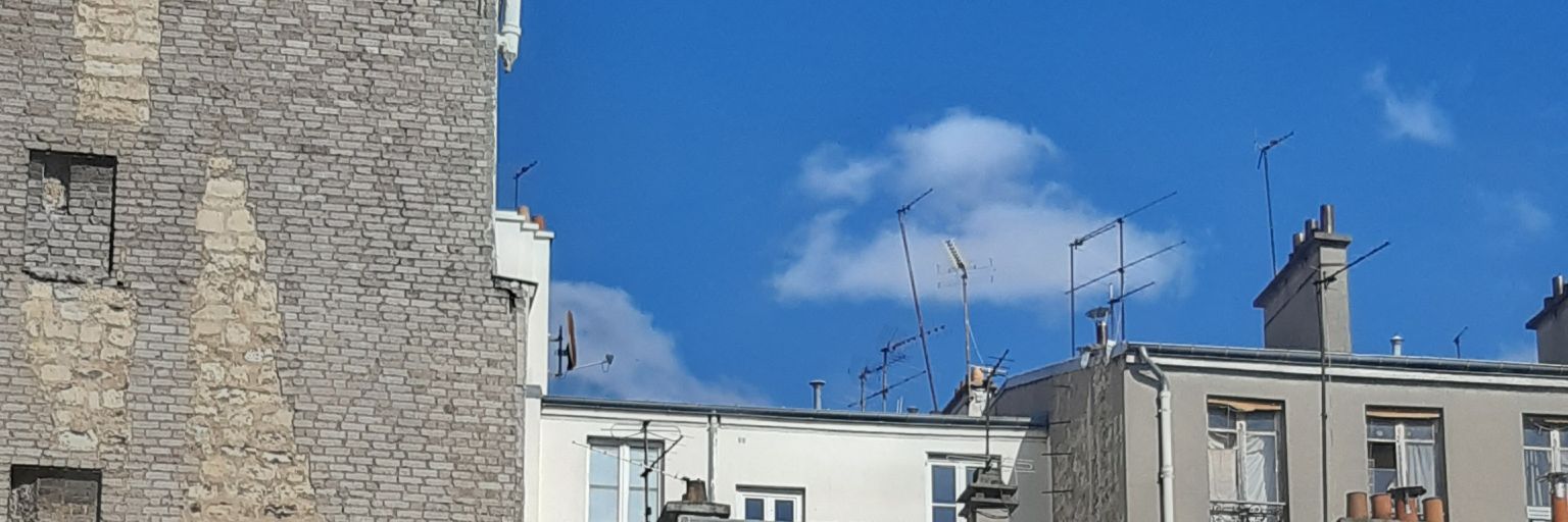 Hungry Birds banner