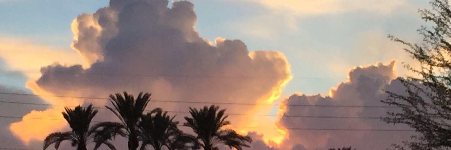bgrannis's profile banner image