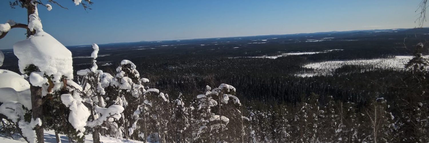 Oula Forsström banner