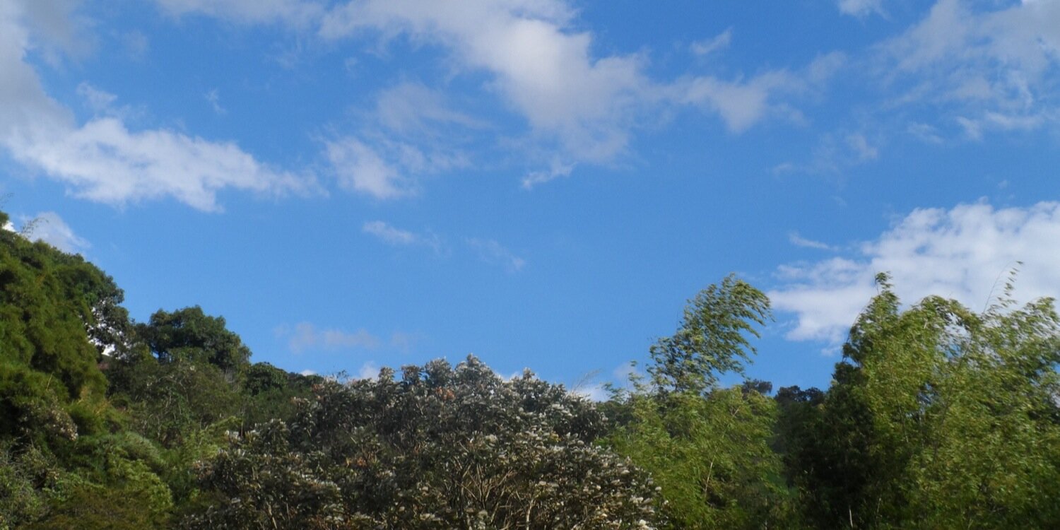 WISAJUCA's profile banner image