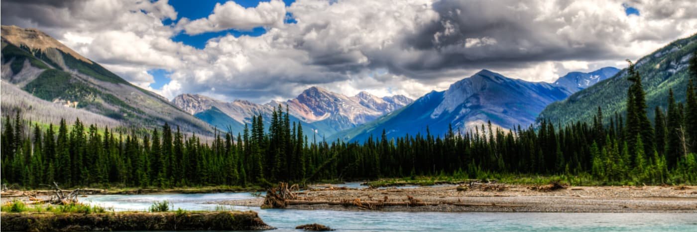 Tanner Havens banner