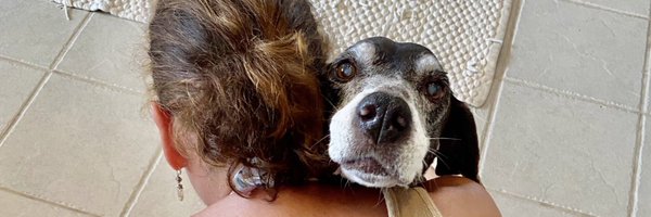 1TradingDee Profile Banner