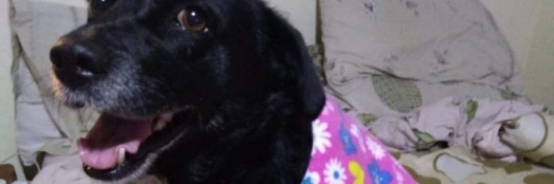Josesi16's profile banner image