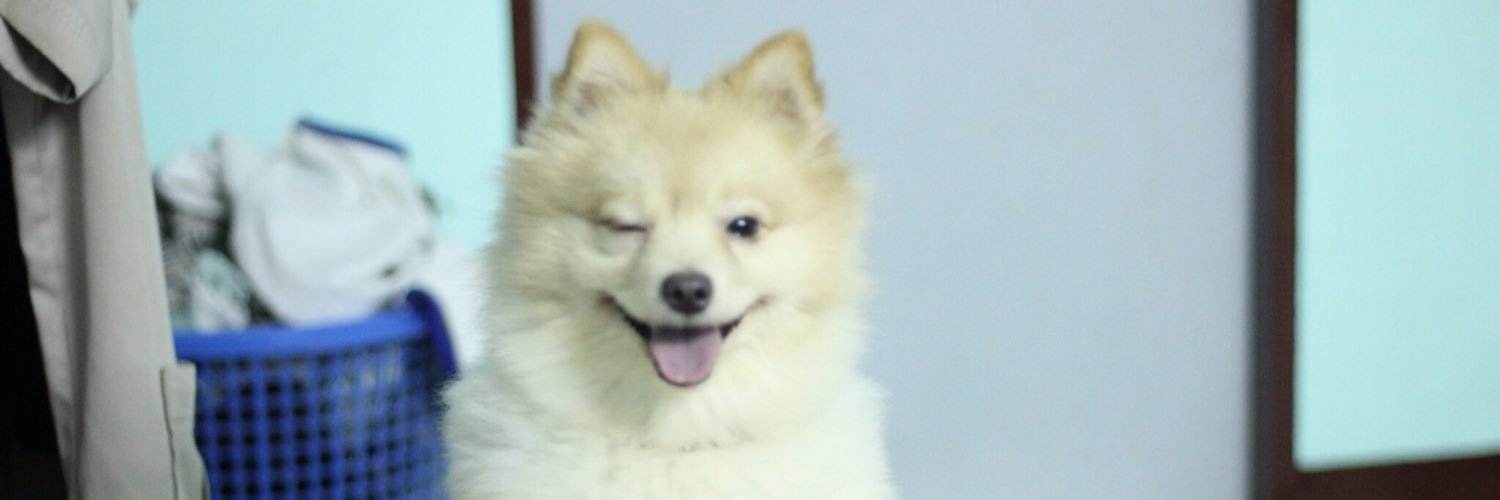 gubieonly's profile banner image